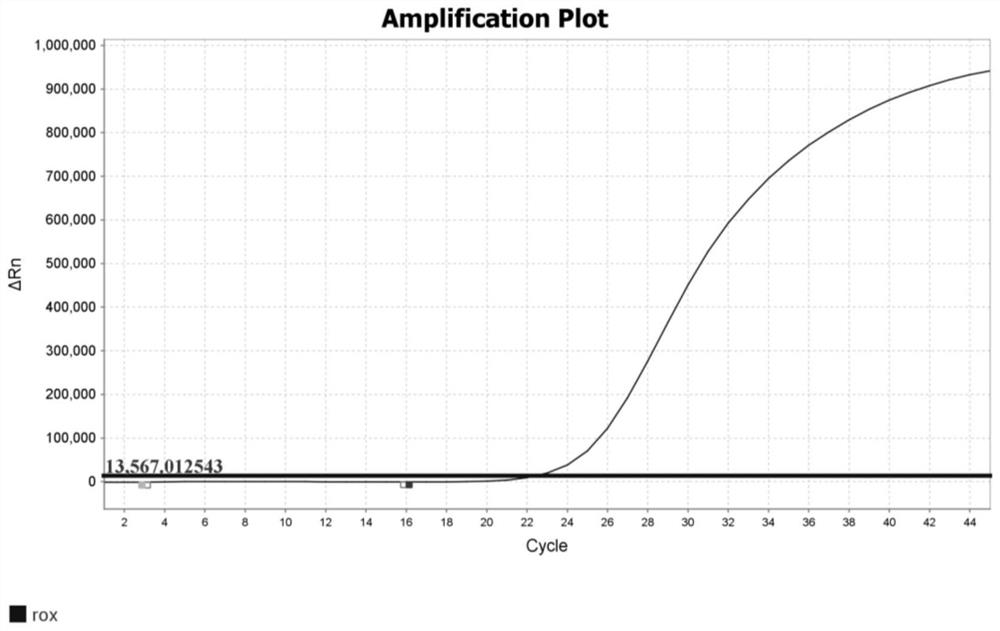 Multiple enrichment detection method for influenza A, influenza B and respiratory syncytial virus