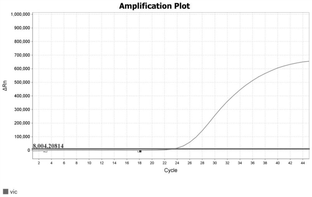 Multiple enrichment detection method for influenza A, influenza B and respiratory syncytial virus