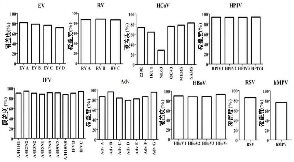 Human respiratory virus targeted enrichment capture probe set and application thereof