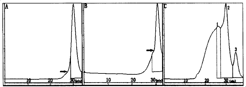 Anti-bladder cancer target superantigen and preparation method thereof