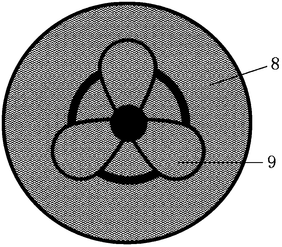 Plasma activated oil treatment device