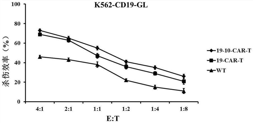 CD19 and CD10 double-target chimeric antigen receptor and application thereof