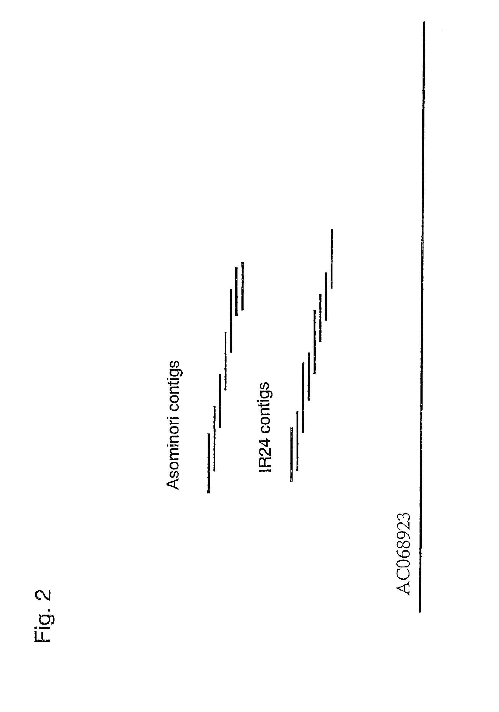 Method for improving fertility of hybrid plants comprising placing fertility restorer genes into multiple gene loci