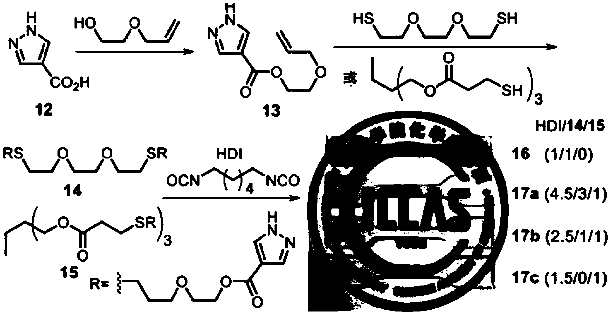 Pyrazolyl ureido-based polyurea urethane, and preparation method and application thereof