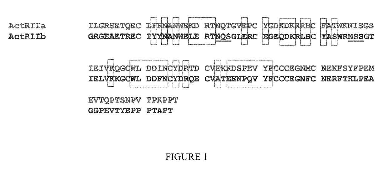 Methods for treating eye disorders