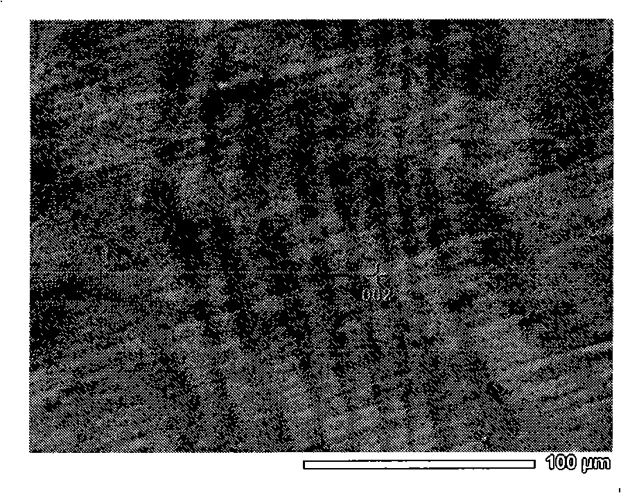 Magnesium-lithium-samarium alloy and preparation method thereof by fused salt electrolysis