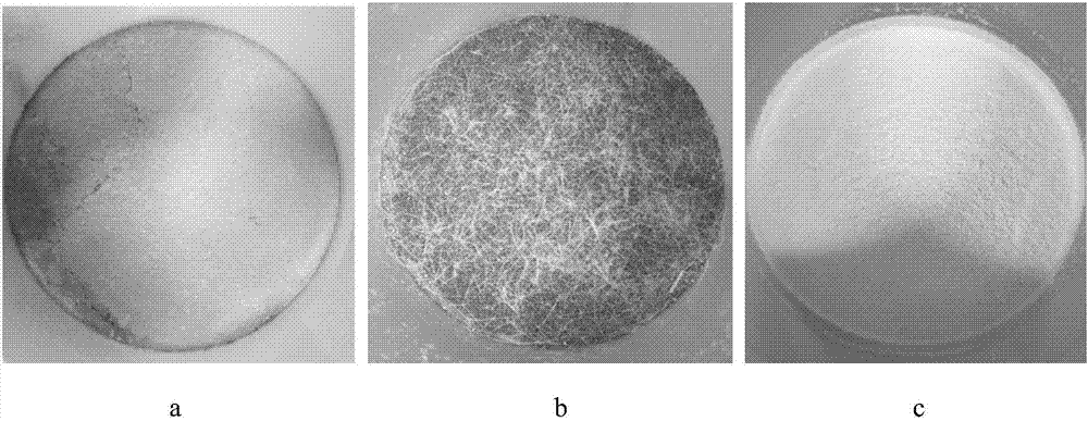 Composite sand fixation model, preparation method and applications of same