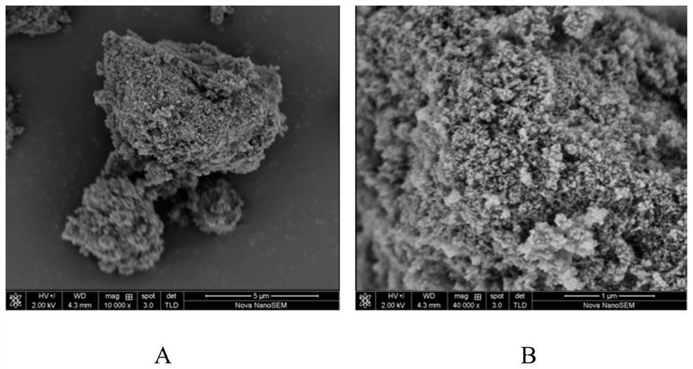 Catalyst for methane-hydrogen sulfide reforming hydrogen production process, and regeneration method thereof