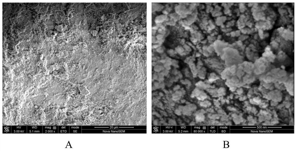 Catalyst for methane-hydrogen sulfide reforming hydrogen production process, and regeneration method thereof