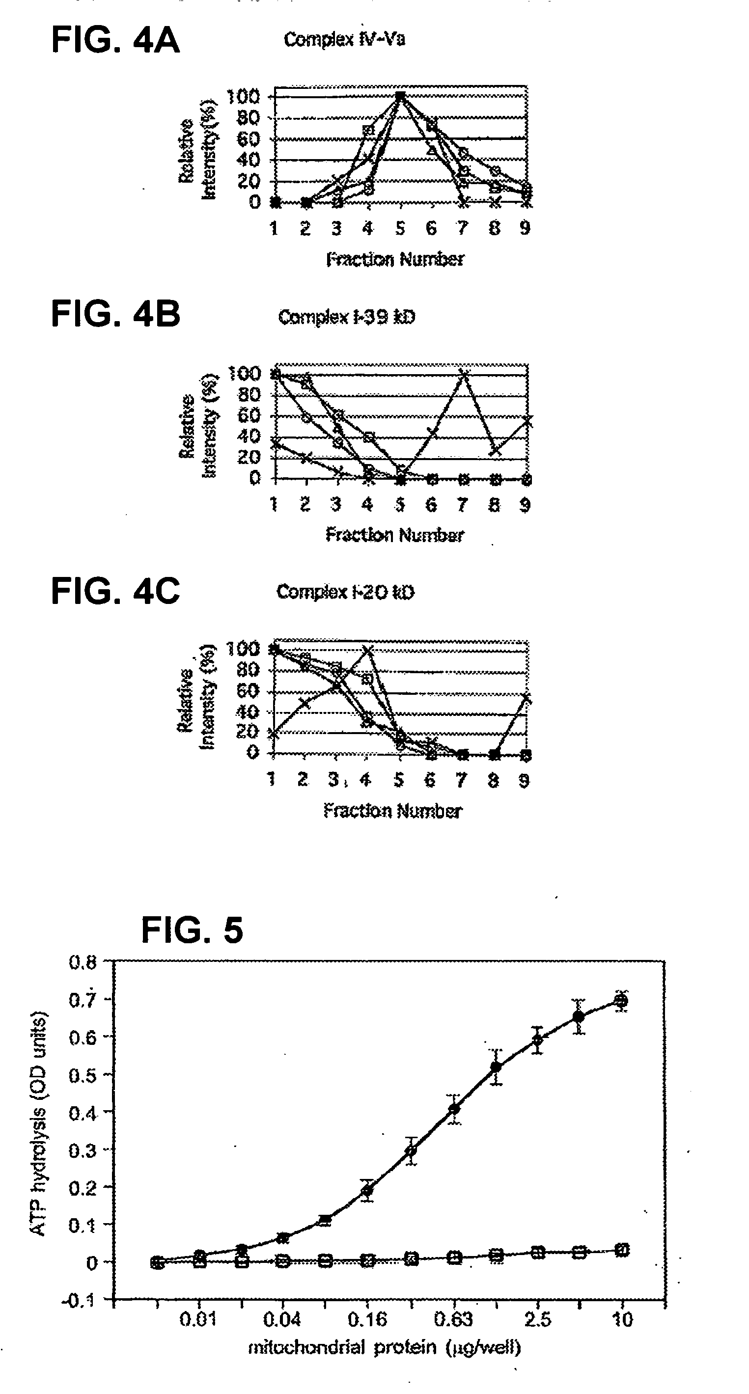 Immunocapture of mitochondrial protein complexes