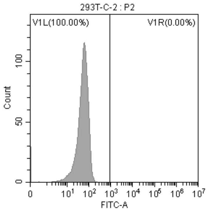 Monoclonal antibody targeting human Claudin18.2 protein and application thereof