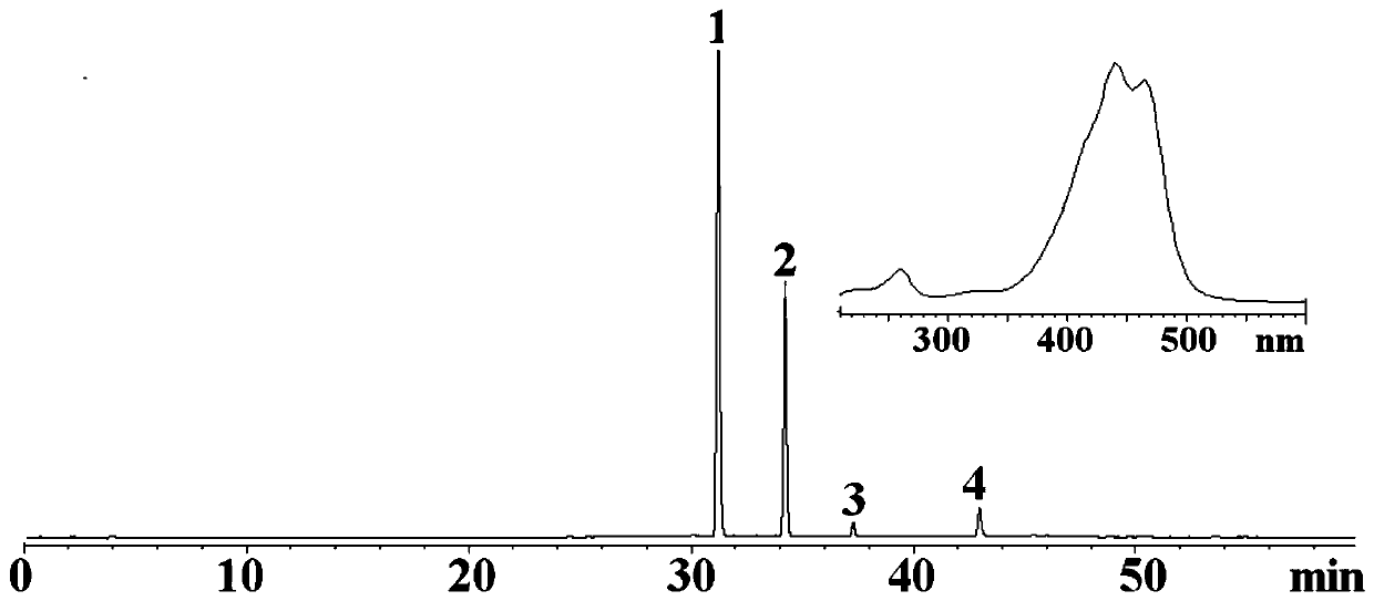 Determination method of saffron glycosides in saffron medicinal materials by area normalization method