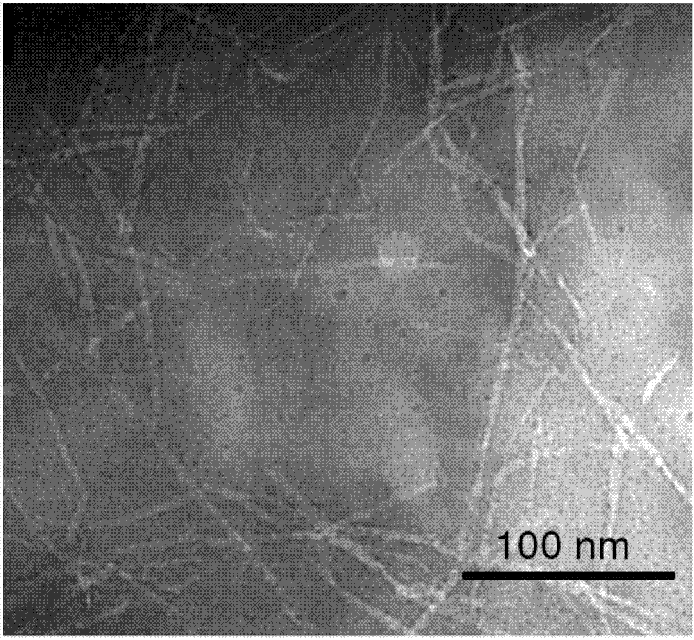 Reed stem cellulose nano-fiber and preparation method thereof