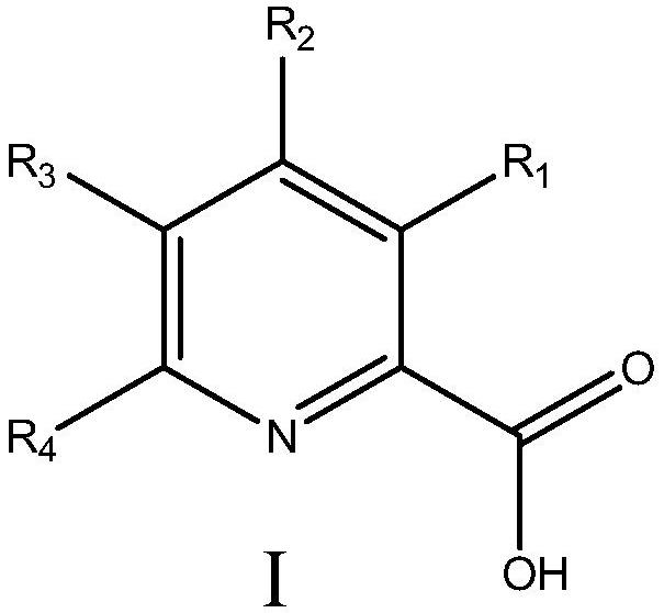 Manganese catalyst and application of manganese catalyst in catalyzing epoxidation of triazole alkene to prepare epoxiconazole