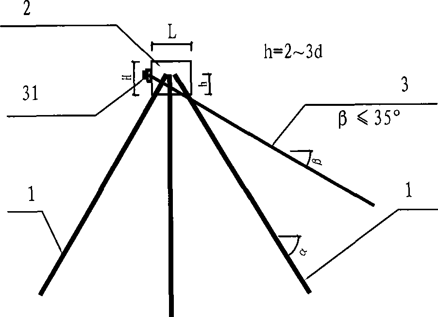 Anchor pipe skeleton and its support method