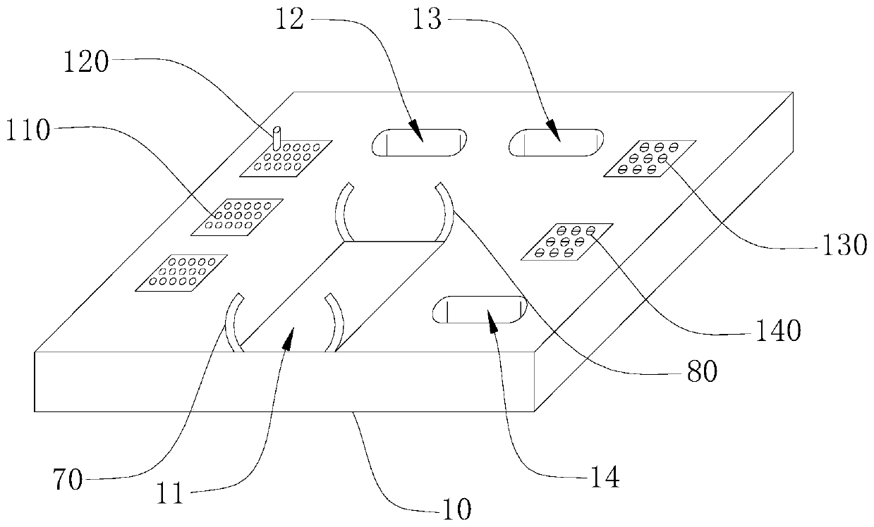 Automatic blood sampling device and automatic blood sampling method