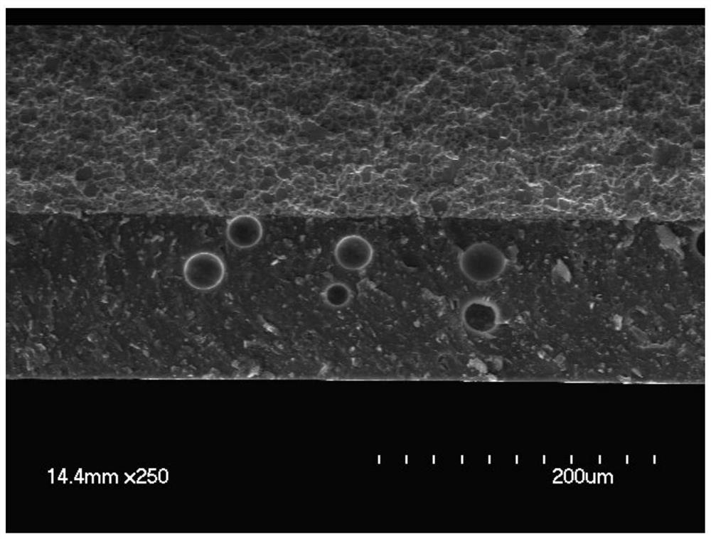 Coating, neodymium-iron-boron magnet and preparation method and application of neodymium-iron-boron magnet