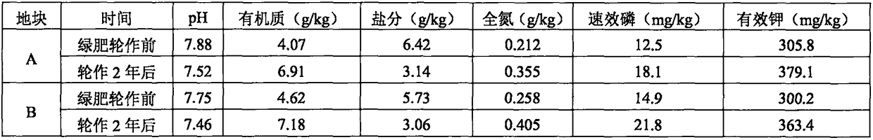 Method for promoting rapid maturity of mud flat virgin soil using green manuring rotation mode