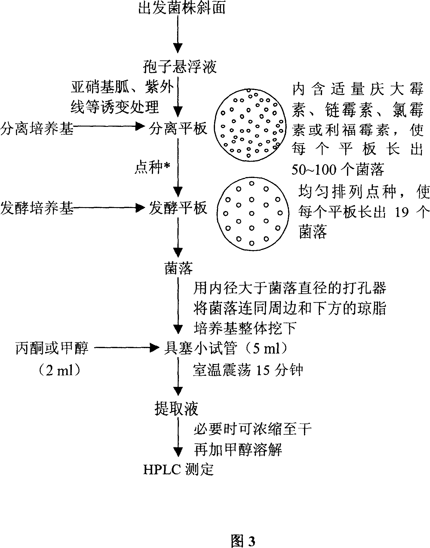 Strain capable of generating avermectin B component and utilization thereof