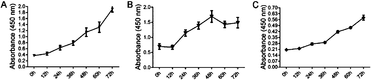 Human biliary tract cancer cell lines and application