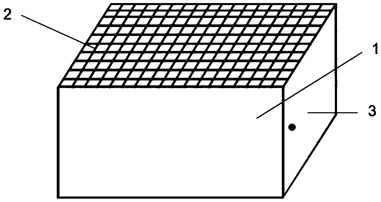 A kind of cantharis adult breeding device and cantharis breeding method