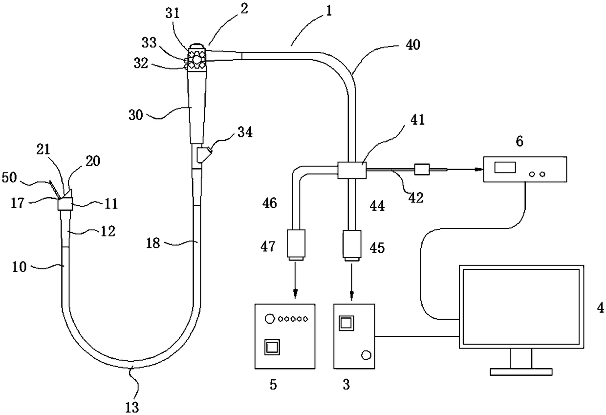 Multifrequency area array ultrasonic endoscopic system