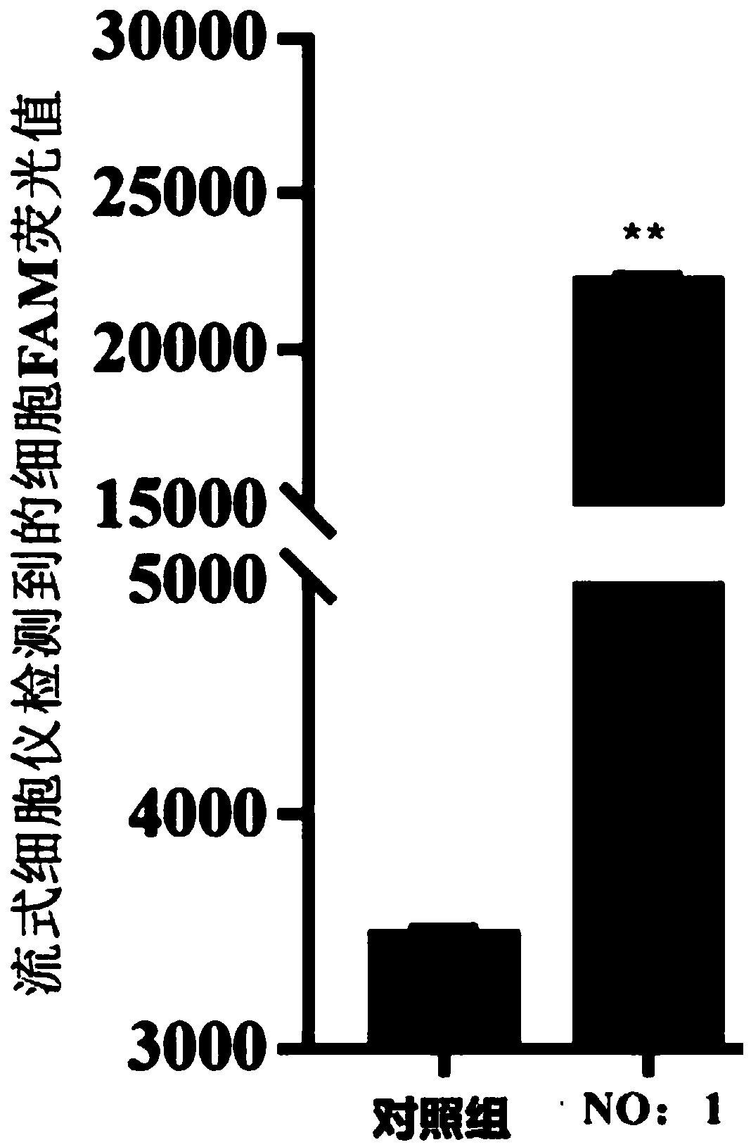 Nucleic acid aptamer specifically targeting Trachinotus ovatus nerve necrosis virus and application thereof