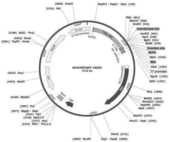 Application of dehydrogenase to preparation of (R)-9-(2-hydroxypropyl) adenine