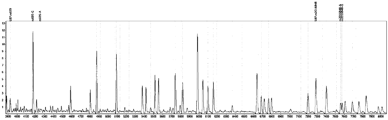 Mass spectrometry method for identifying personalized medication of trandolapril through product detection