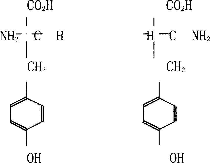 Method for preparing D-tyrosine by enzyme method