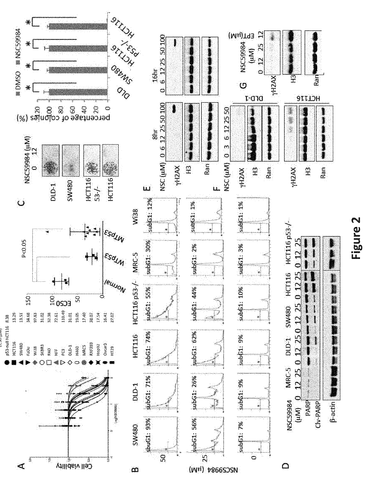 Compound for anti-cancer therapy that acts by targeting GOF mutant P53 and stimulates P73 to restore the P53 pathway signaling