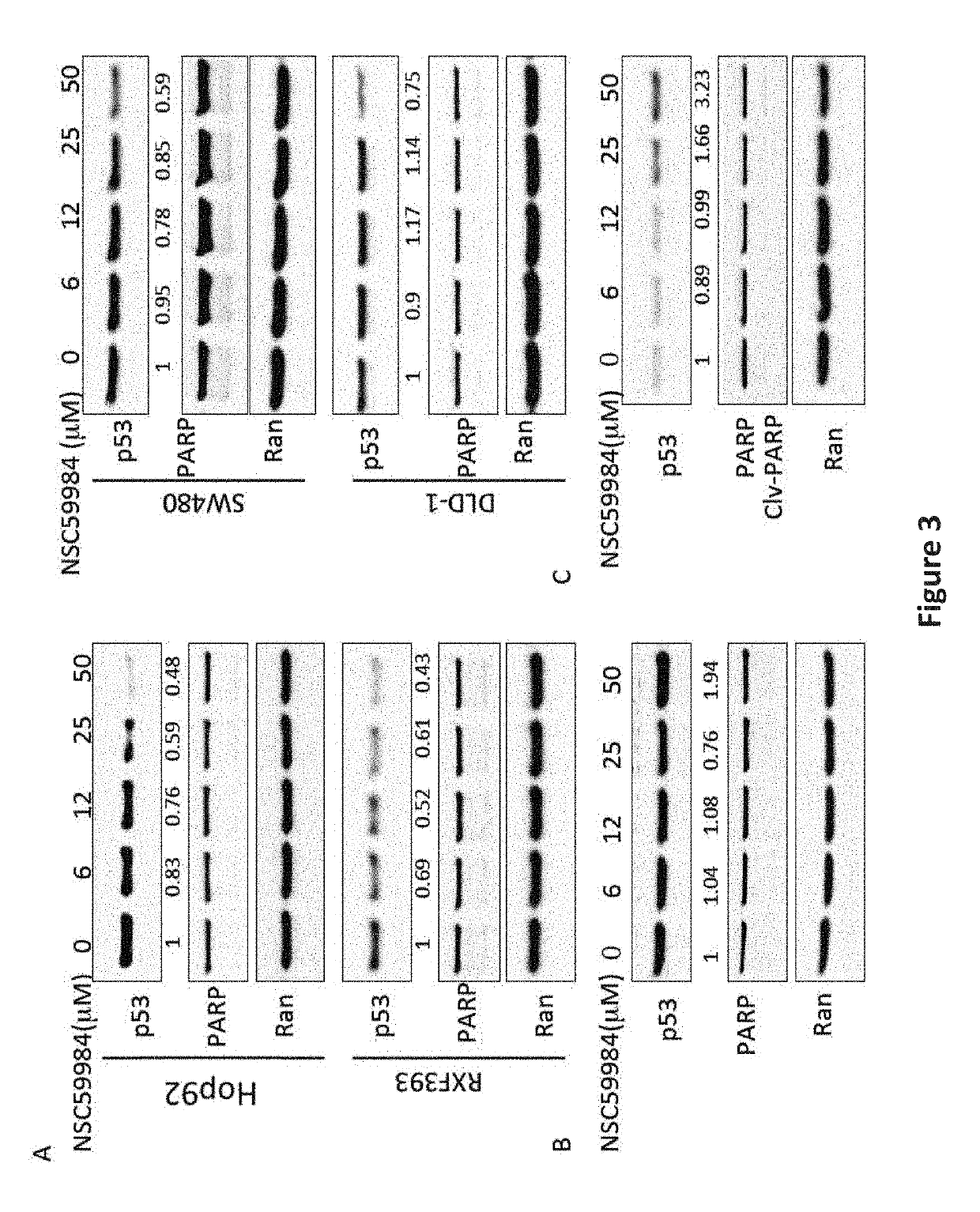 Compound for anti-cancer therapy that acts by targeting GOF mutant P53 and stimulates P73 to restore the P53 pathway signaling