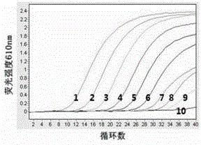 Bai yang dian virus and duck plague virus double fluorescent quantitation RT-PCR detection reagent kit