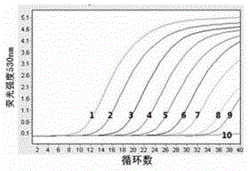 Bai yang dian virus and duck plague virus double fluorescent quantitation RT-PCR detection reagent kit