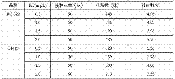 Open type method for cultivating toxin-free seedlings of sugarcanes