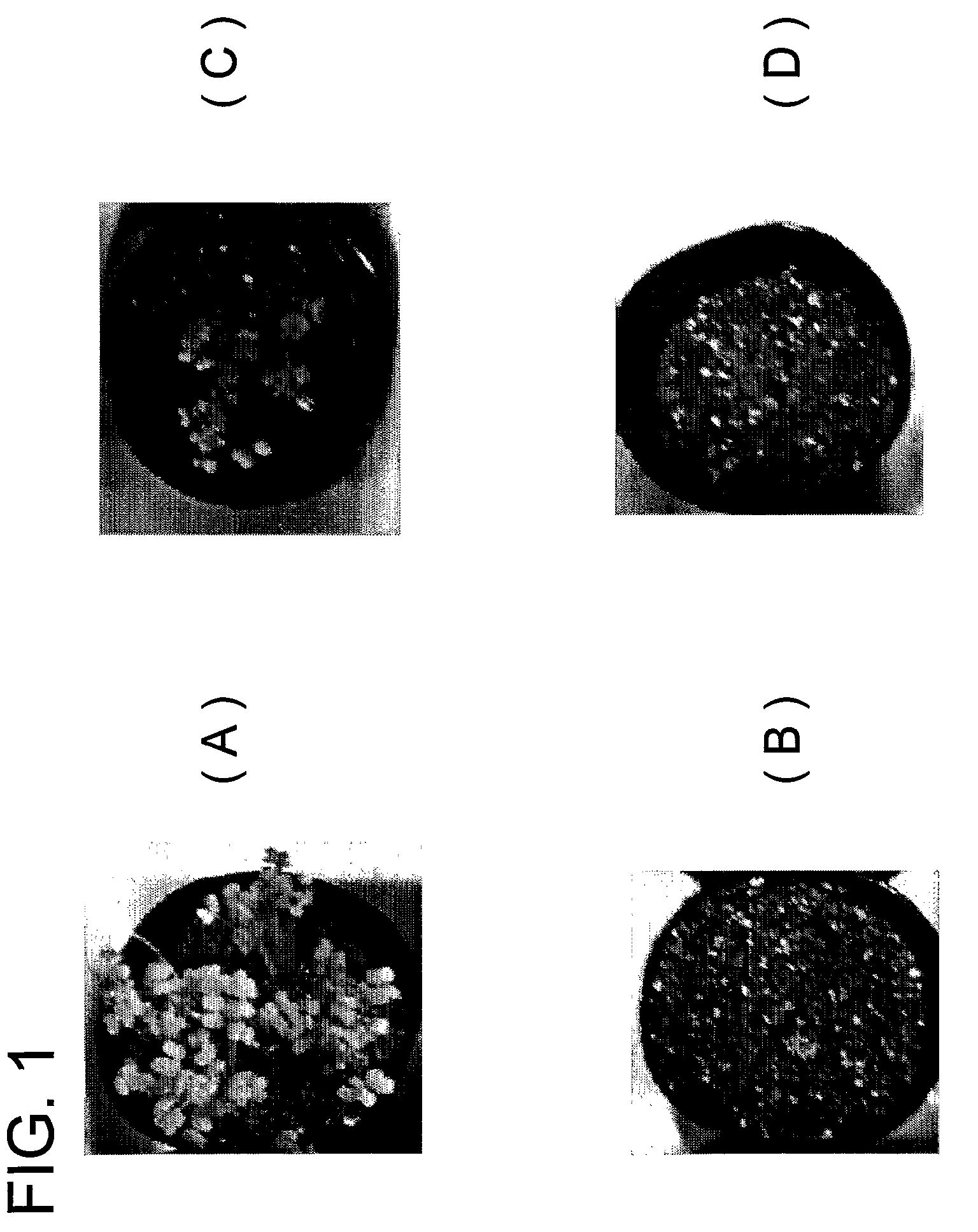 Particulate water retaining material for cultivating plant having water absorbent resin as main component