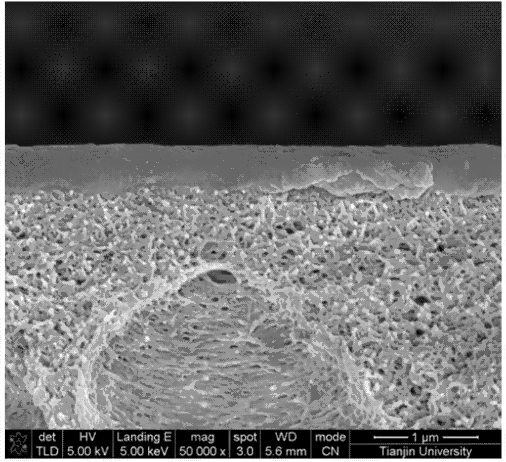 Sodium alginate-graphite phase carbon nitride nano-sheet hybridized composite membrane as well as preparation and application of composite membrane