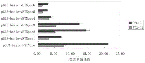 Method for detecting promoter activity using dual luciferase reporter gene