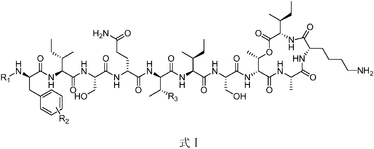 Novel antibiotic for treating drug-fast gram positive microbes and tuberculosis