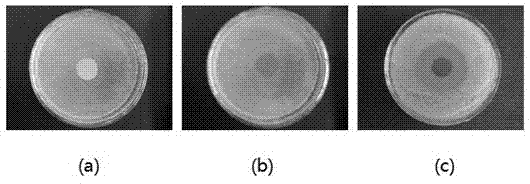 Surface modification method for polymer separation membrane