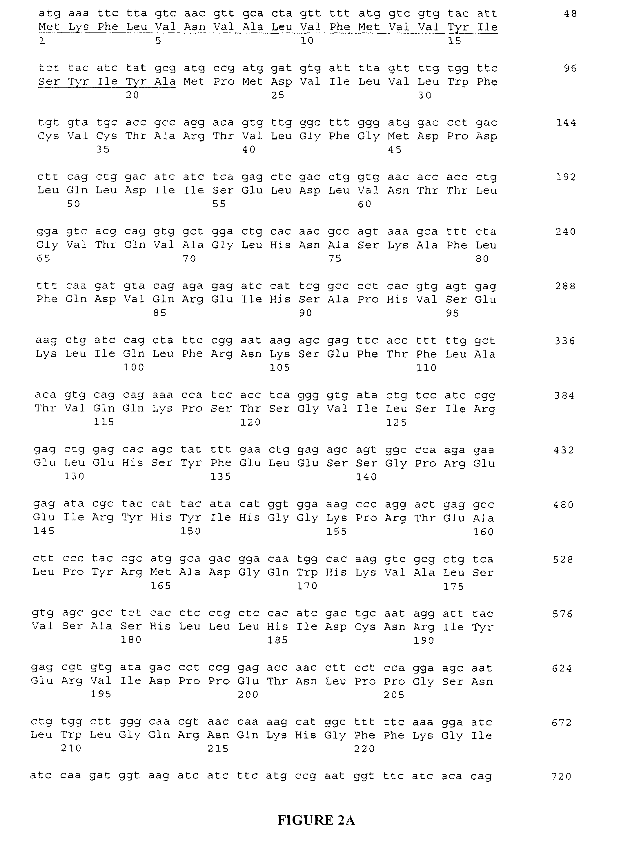 Expression System of NELL Peptide