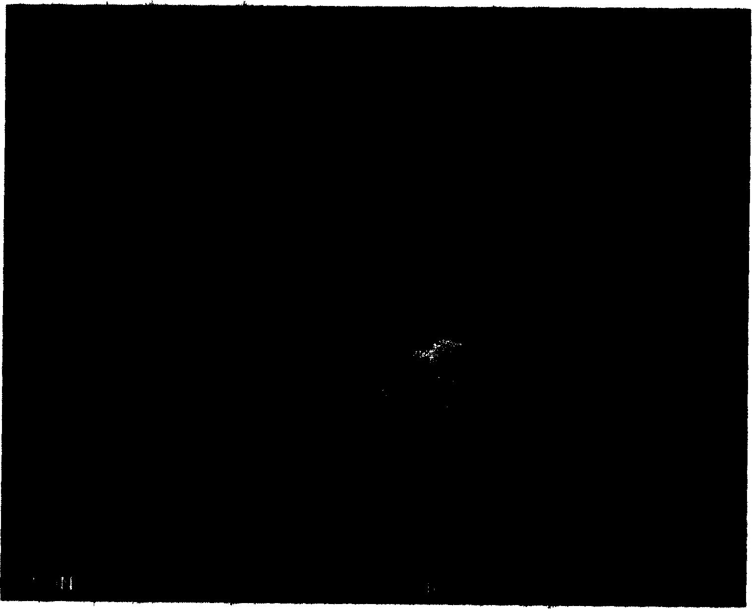 Method for producing aluminum hydroxide from sodium aluminate solution