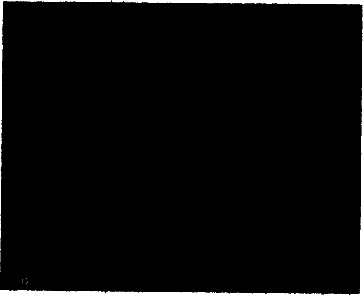 Method for producing aluminum hydroxide from sodium aluminate solution