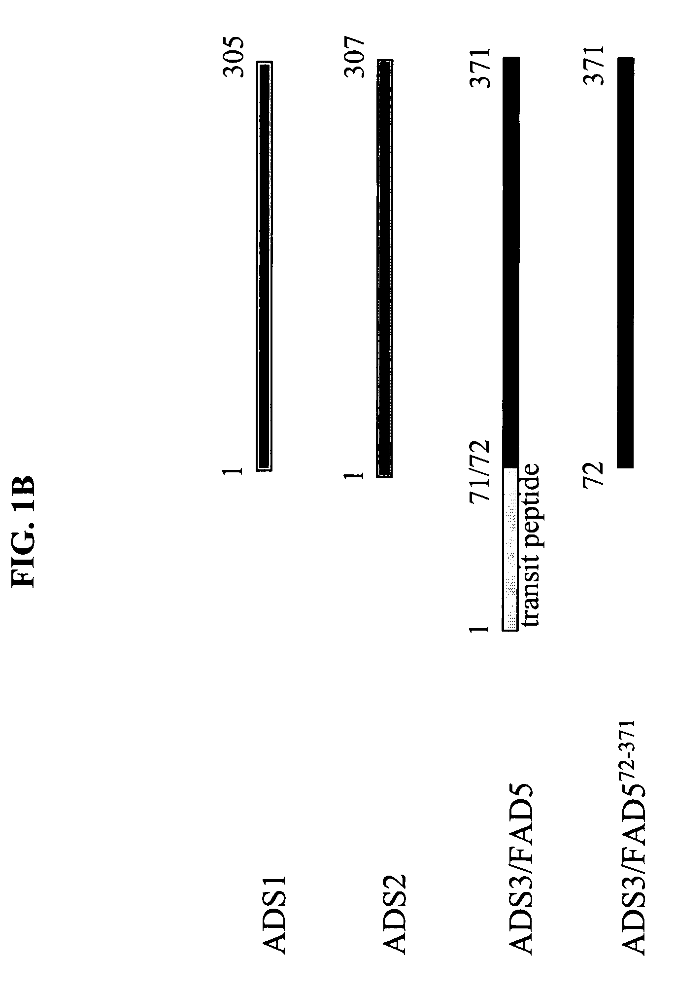 ADS genes for reducing saturated fatty acid levels in seed oils