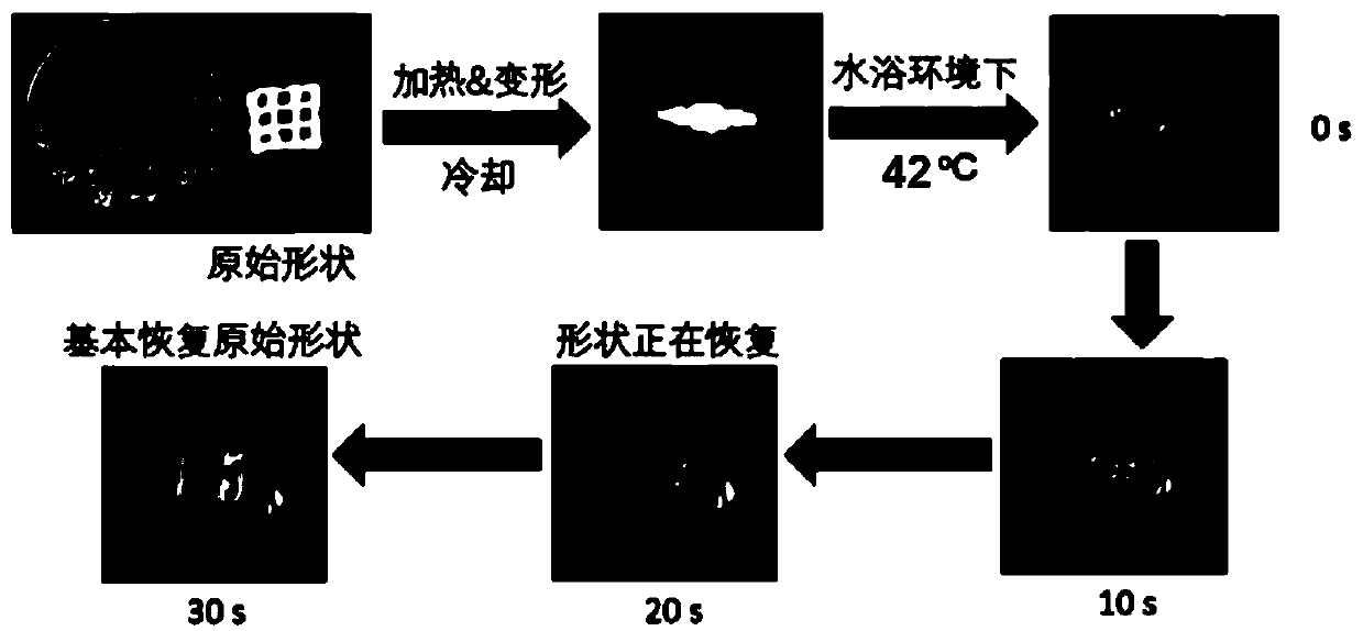 Photo-thermal chemotherapy bone repair material and preparation method of tissue engineering scaffold