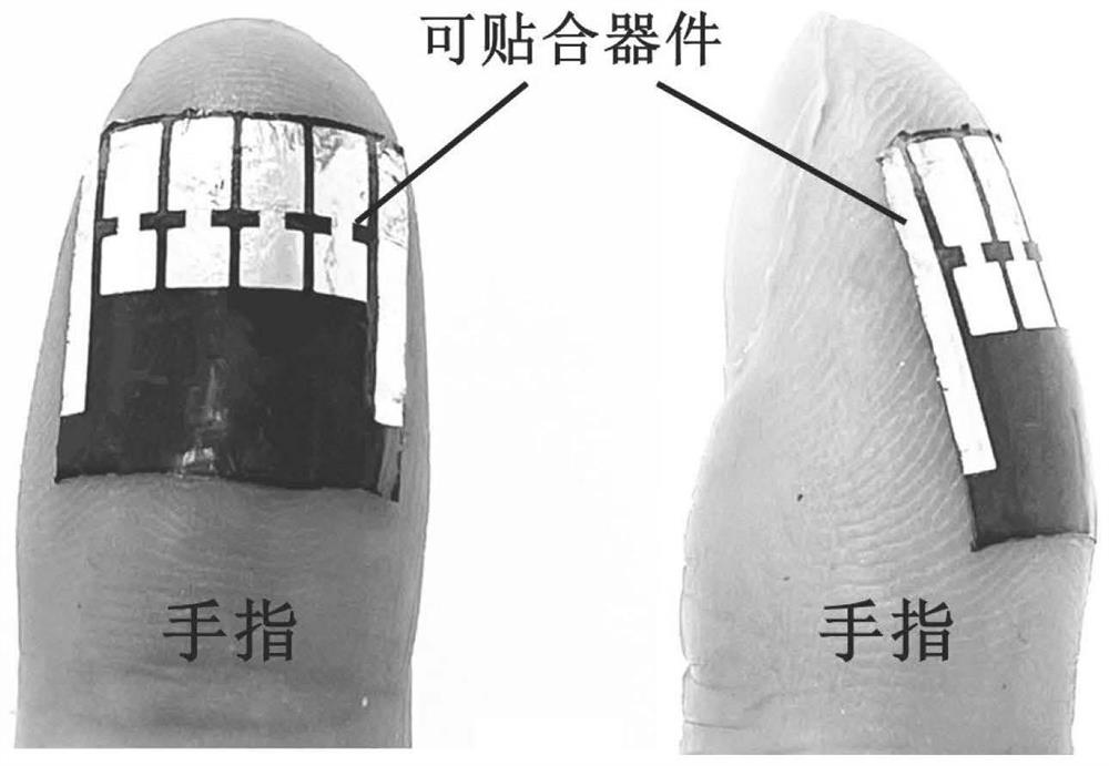 A kind of flexible organic photodetector and preparation method thereof