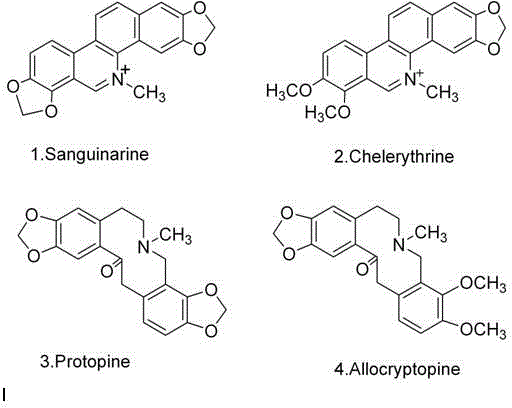 Application of macleaya cordata total alkaloids as external spermicide