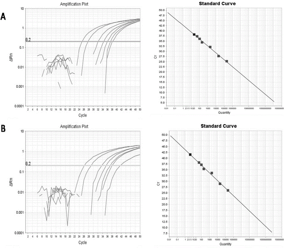 Probe for detecting K-ras gene mutation, primer, kit and method