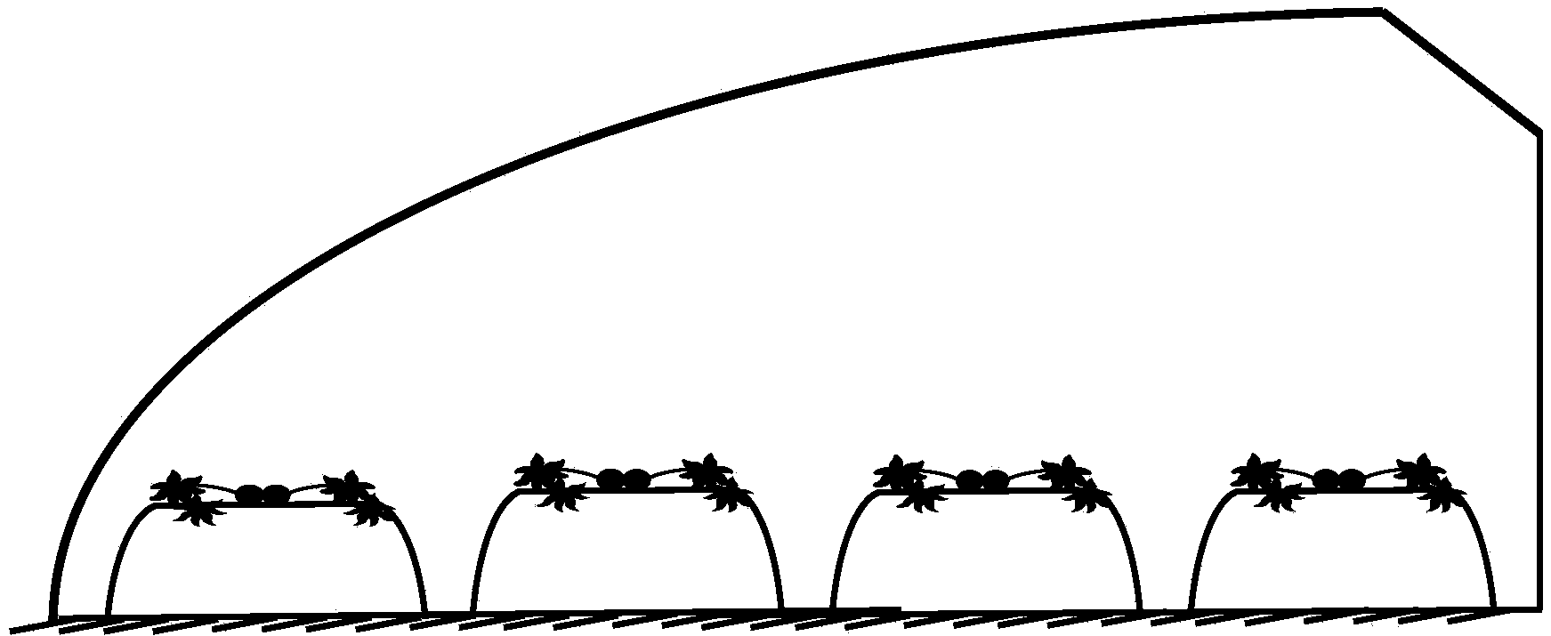 High ridge for planting strawberries and planting method