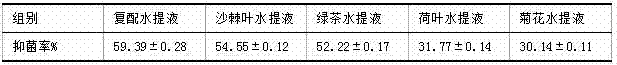 Instant seabuckthorn tea powder with bacteriostasis effect, and preparation method thereof